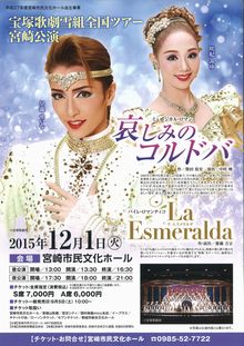 宝塚宮崎公演チラシ.jpg